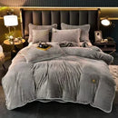 Axyaa King Milk Velvet Bedding Set - Ultra-thick, Skin-friendly, Antistatic Quilt Cover