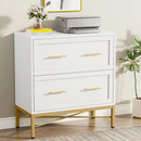 Axyaa 2 Drawer Lateral File Cabinet for Letter/Legal/A4 Size, Modern Office Storage