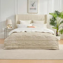 Axyaa Cable Knit Chenille Sherpa Throw Blanket for Sofa Couch Twin Comfort