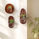 Axyaa Wall-Mounted Glass Flowerpot Vase: Home Decor Fish Tank Pendant Hydroponics Pot