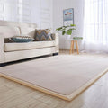 Axyaa Coral Fleece Tatami Floor Mat for Soft Bedroom Living Room Rugs
