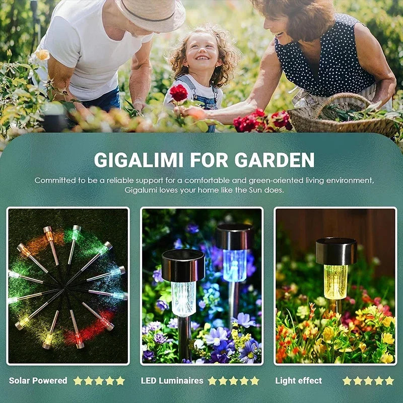 Axyaa Solar Lantern Lights for Garden Landscape Decoration