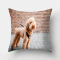 Axyaa Pug Dog Print Cushion Cover Throw Pillow for Sofa Living Room Decor