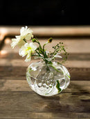 Axyaa Glass Pomegranate Vase: Home Hydroponic Flower Arrangement and Desktop Decoration