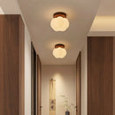 Axyaa Modern LED Ceiling Light for Indoor Lighting - Nordic Style Balcony Living Room Fixture