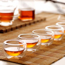 Axyaa Double Wall Glass Cup Set for Hot or Cold Drinks