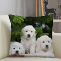 Axyaa Golden Retriever Dog Sofa Pillowcase for home decor
