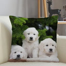 Axyaa Golden Retriever Dog Sofa Pillowcase for home decor