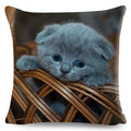 Axyaa Cat Pet Animal Cushion Cover - Cute British Shorthair Russian Blue Pillowcase