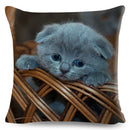 Axyaa British Shorthair Russian Blue Cat Cushion Cover - Cute Pet Animal Pillowcase