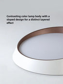 Axyaa Nordic Minimalist LED Ceiling Lamp with Dimmable Remote Control