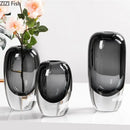 Modern Crystal Vase for Axyaa Home Decor Bouquets and Hydroponics