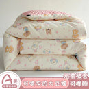Axyaa Soybean Fiber Doudou Quilt Core, All Seasons Single Winter Quilt, Spring Autumn