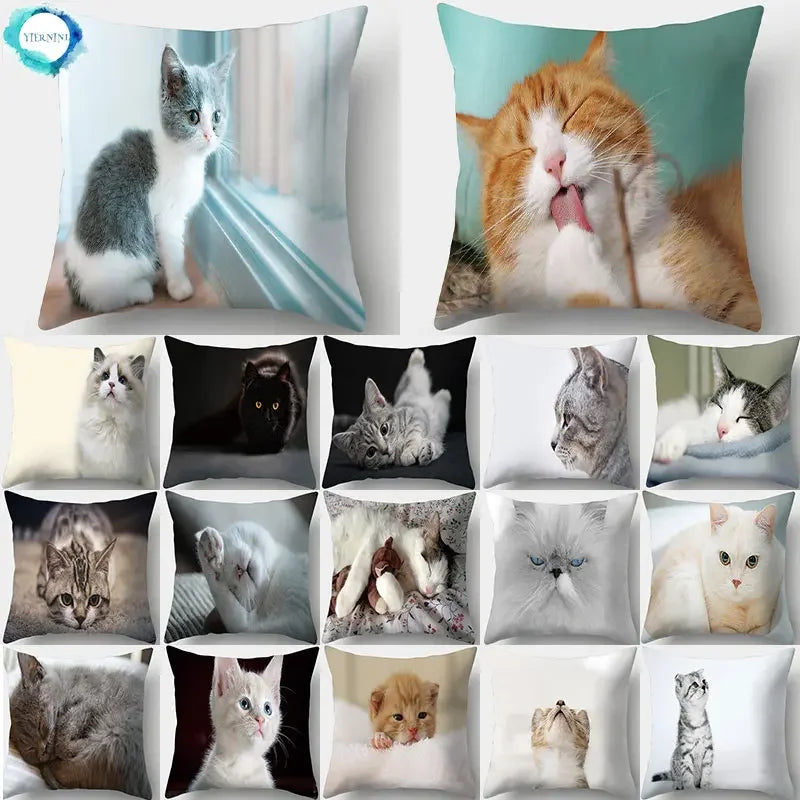 Cute Cat Print Cushion Cover for Sofa Decor by Axyaa