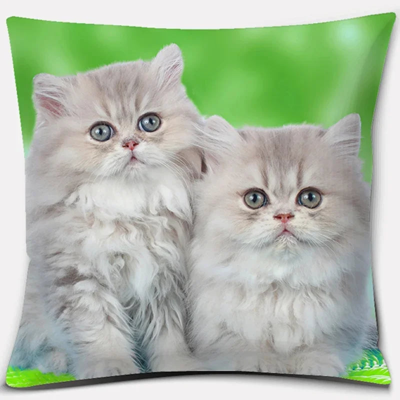 Cute Cat Series Pillowcase for Home Decor by Axyaa