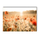 Nordic Wheat Grass Landscape Canvas Wall Art Print for Living Room Decor by Axyaa