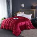 Axyaa Mulberry Silk Duvet Cover Queen Skin Beauty Comforter Cover Bed Blanket