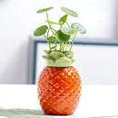 Axyaa Ceramic Persimmon Fruit Flower Pot for Home Decor