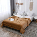 Axyaa Nordic Light Luxury Lamb Wool Flannel Double Layer Thick Quilt Blanket