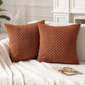 Axyaa Soft Striped Cushion Covers 20x20 Inch for Living Room Decor