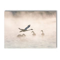 Axyaa Nordic Canvas Wall Art Print Posters for Living Room Decor