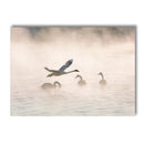 Axyaa Nordic Canvas Wall Art Print Posters for Living Room Decor