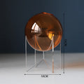 Axyaa Acrylic Spherical Vase for Minimalist Table Decoration and Aesthetic Room Decor