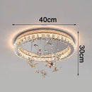 Axyaa Smart LED Ceiling Light for Nordic Home Decor and Bedroom, Dimmable Indoor Lamp