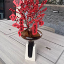 Axyaa Glass Floral Vase Hydroponic Flower Arrangement Artistic Vessel