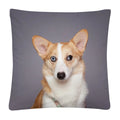 Axyaa Cute Dog Photo Polyester Cushion Cover for Home Sofa Car