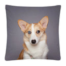 Axyaa Cute Dog Photo Polyester Cushion Cover for Home Sofa Car