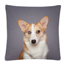 Axyaa Dog Photo Pattern Cushion Cover for Home Sofa Car Decoration