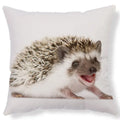 Axyaa Lovely Little Hedgehog Design Cushion Cover for 45*45cm Sofa Pillow