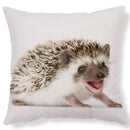 Axyaa Lovely Little Hedgehog Design Cushion Cover for 45*45cm Sofa Pillow