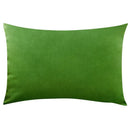 Axyaa Grass Green Velvet Cushion Cover Set for Elegant Living Room Decor