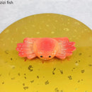 Axya Ceramic Crab Shells Dinner Plate Sushi Salad Bowl Snack Tray Dessert Fruit Plates