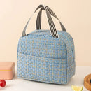 Axyaa Insulated Tote Lunch Bag for Women and Men: Portable Cooler Storage Handbag