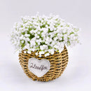 Axyaa Hand-woven Straw Flower Pots | Eco-Friendly Plant Fiber Baskets & Ornaments
