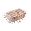 Axyaa Wheat Straw Bento Lunch Box Food Storage Container-Kids & Microwave Friendly