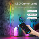 Axyaa Modern RGB LED Floor Lamp for Home Decoration