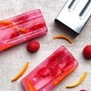 Axyaa Stainless Steel Popsicle Mold Rack & Ice Pop Maker Kit