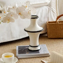 Axyaa Ceramic Vase: Modern Light Luxury Art Desktop Decoration Ornament