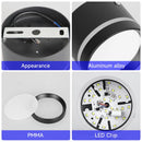 Axyaa LED Ceiling Chandelier for Home Decor and Lighting