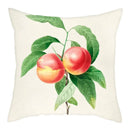 Axyaa Peony Plum Blossom Pillow Cover 45*45cm