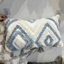 Axyaa Plush Tassel Square Pillow Case for Luxury Sofa Backrest
