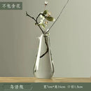 Axyaa Transparent Glass Zen Vase for Living Room Decor and Hydroponic Plants