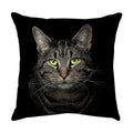 Axyaa Black Cat Cartoon Decorative Cushion Cover