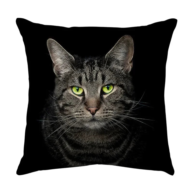 Axyaa Black Cat Cartoon Decorative Cushion Cover