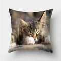 Cute Cat Print Cushion Cover for Sofa Decor by Axyaa