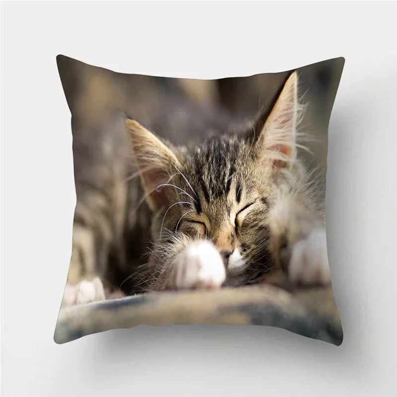 Cute Cat Print Cushion Cover for Sofa Decor by Axyaa